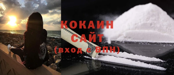 спиды Алзамай