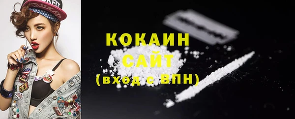 спиды Алзамай